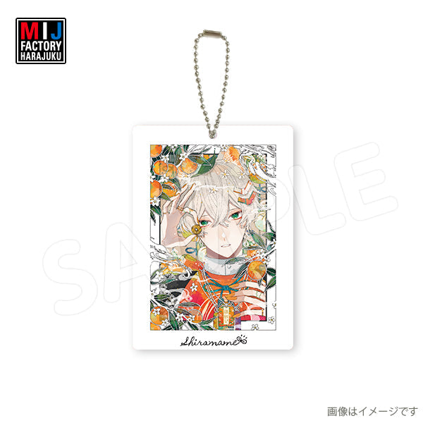 しらまめ ウェブポン コレクションカード アクキー スクエア缶バッジ