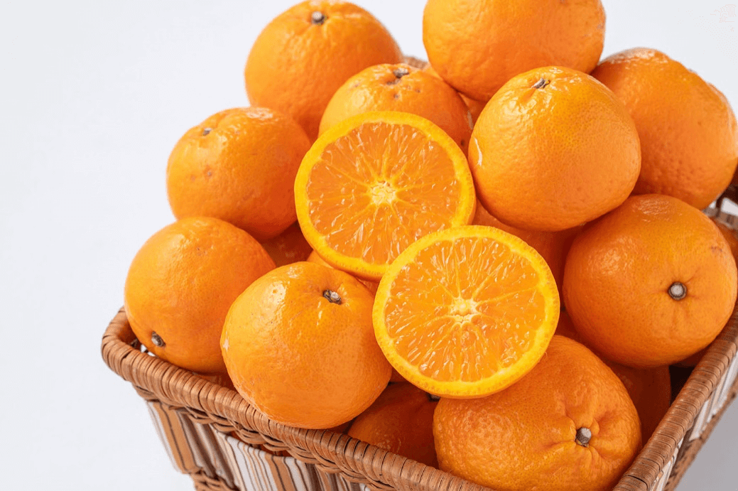 中間母本農6号 | みかん通販の江崎果樹園