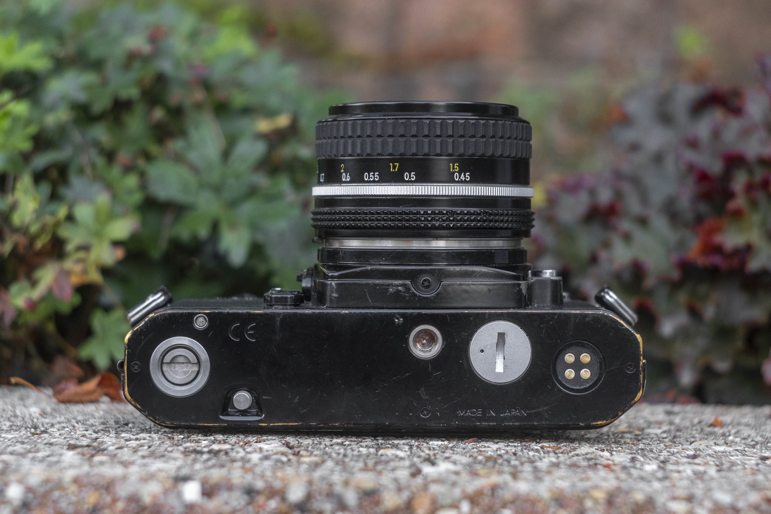 Nikon FM2n (1983) - mike eckman dot com