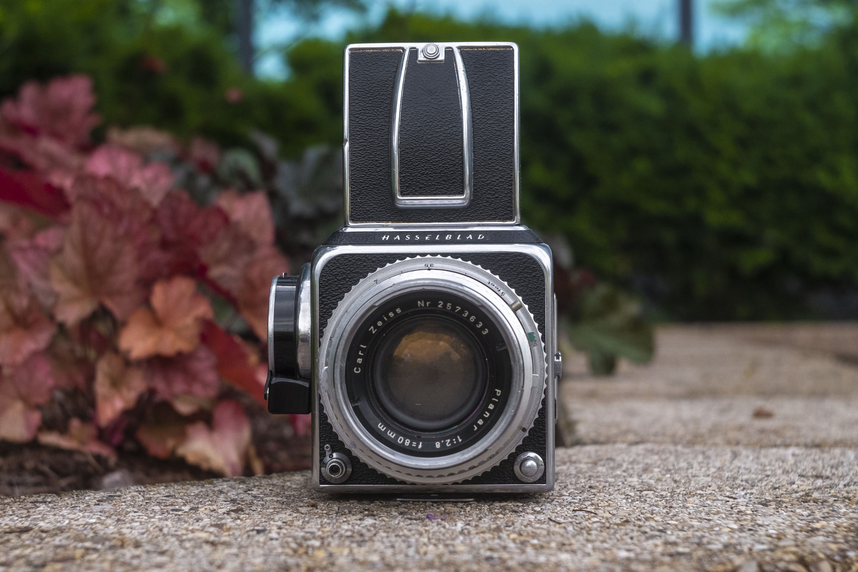 Hasselblad 500 C (1957) – mike eckman dot com