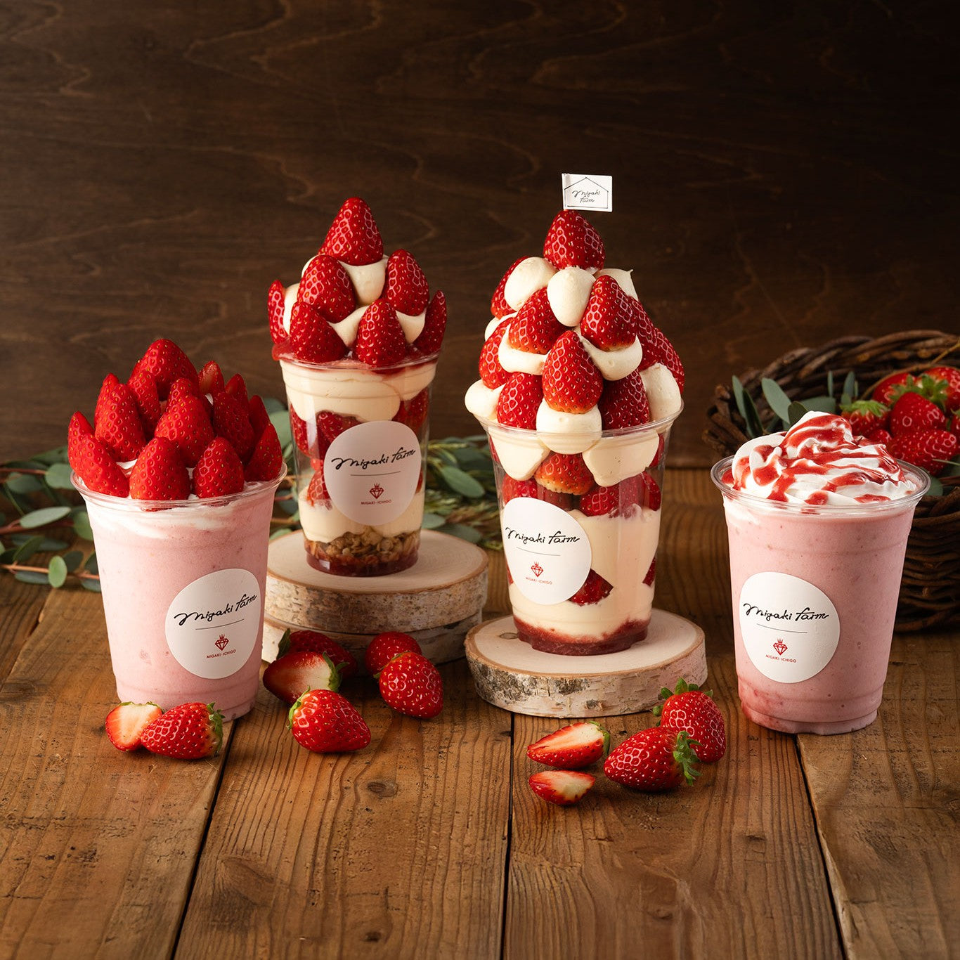 DSC00410._sjpg_ec8996de-9f95-