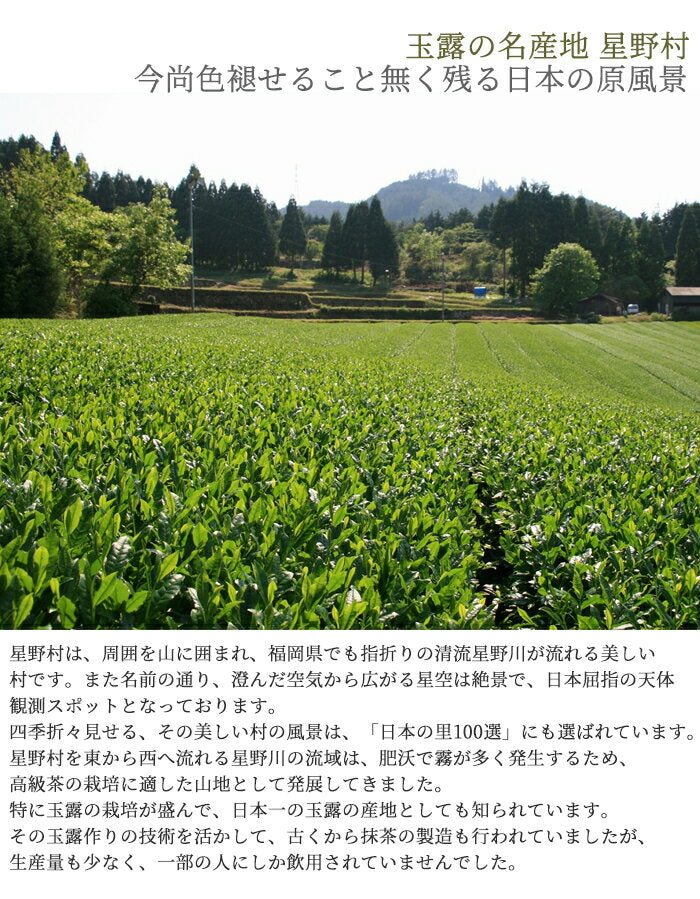 Hoshino Seichaen ( Hoshi no Tsuyu- 星の露) 20g/40g – Misora Yamamoto