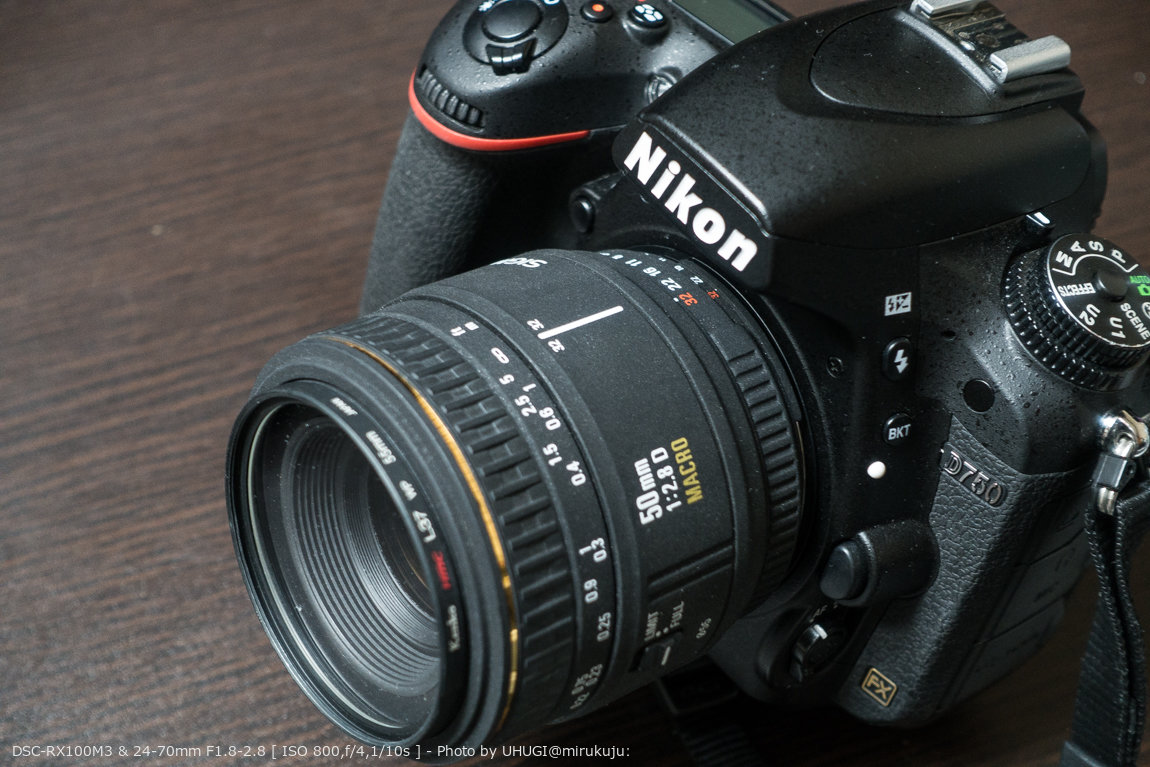 Sigma Macro 50mm F2.8D EXを入手しました – mirukujuː ミルクユー