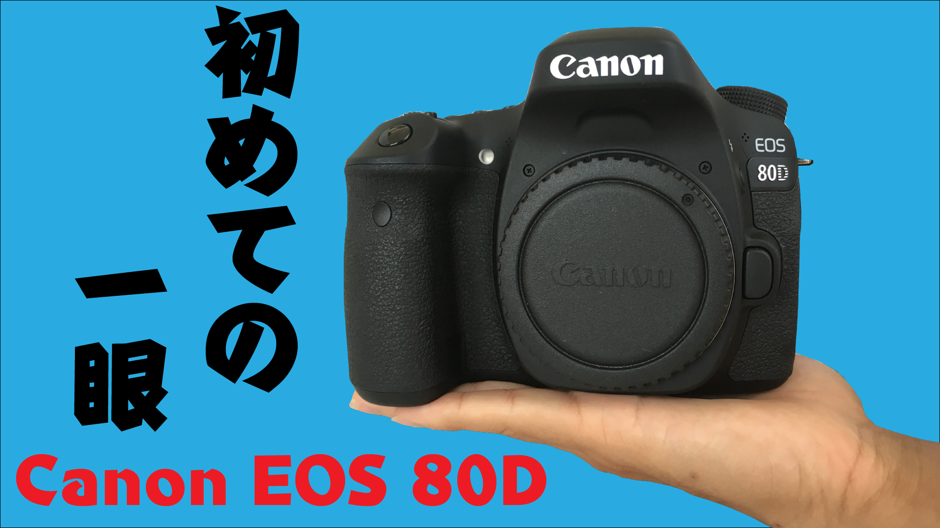 美品】Canon EOS80Dレンズセット【撮影枚数1,543枚】 【公式通販】