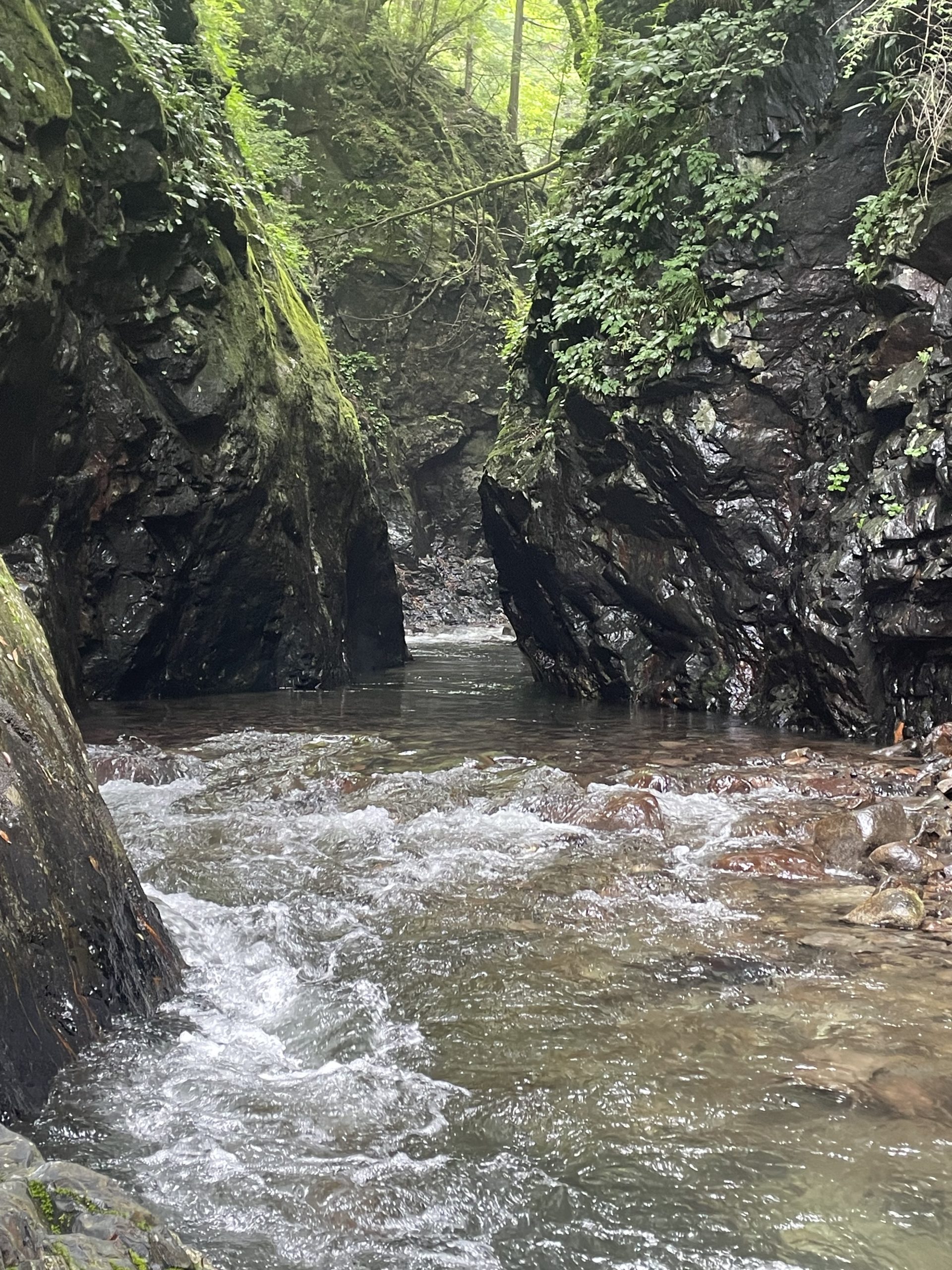 一ノ瀬川本流 | 渓人「流」