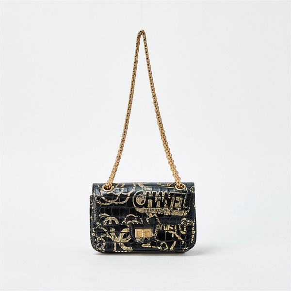 CHANEL 2.55 グラフィティ 2019年頃 ショルダーバッグ ブラック