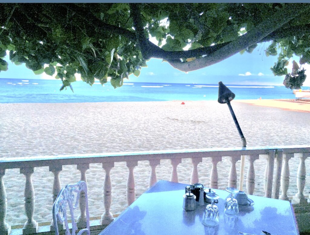 レストラン ハワイ】「ハウツリー Hau Tree」エッグベネディクトが超