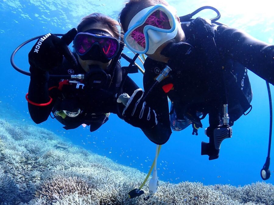 宮古島のダイビング事情を現地スタッフが解説！宮古島のおすすめ