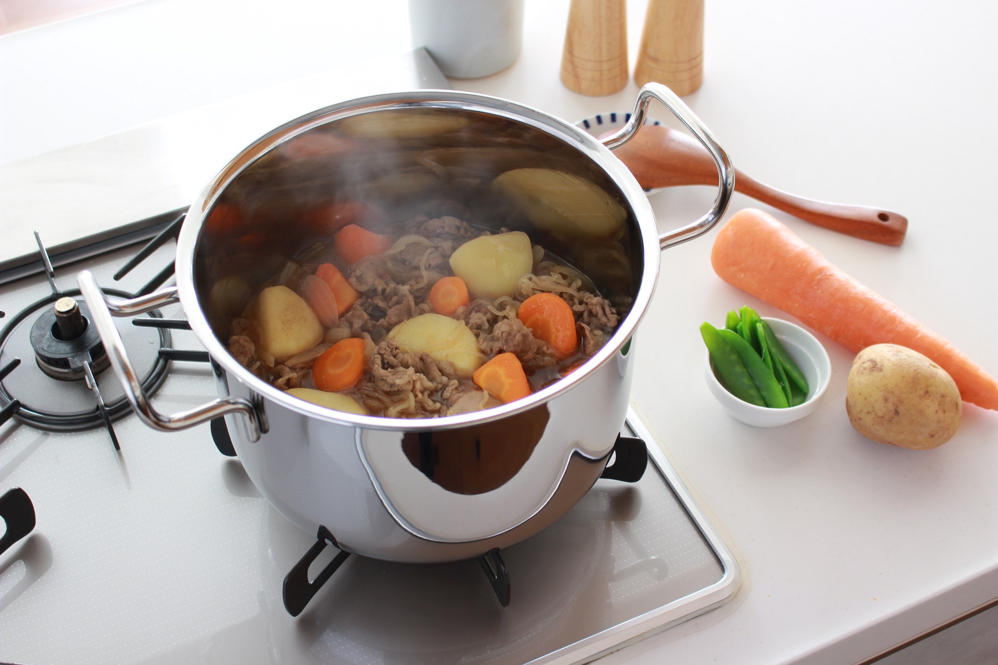 宮崎製作所 ジオ ポトフ鍋 22cm 楽天市場】【正規品 正規代理店】ジオ