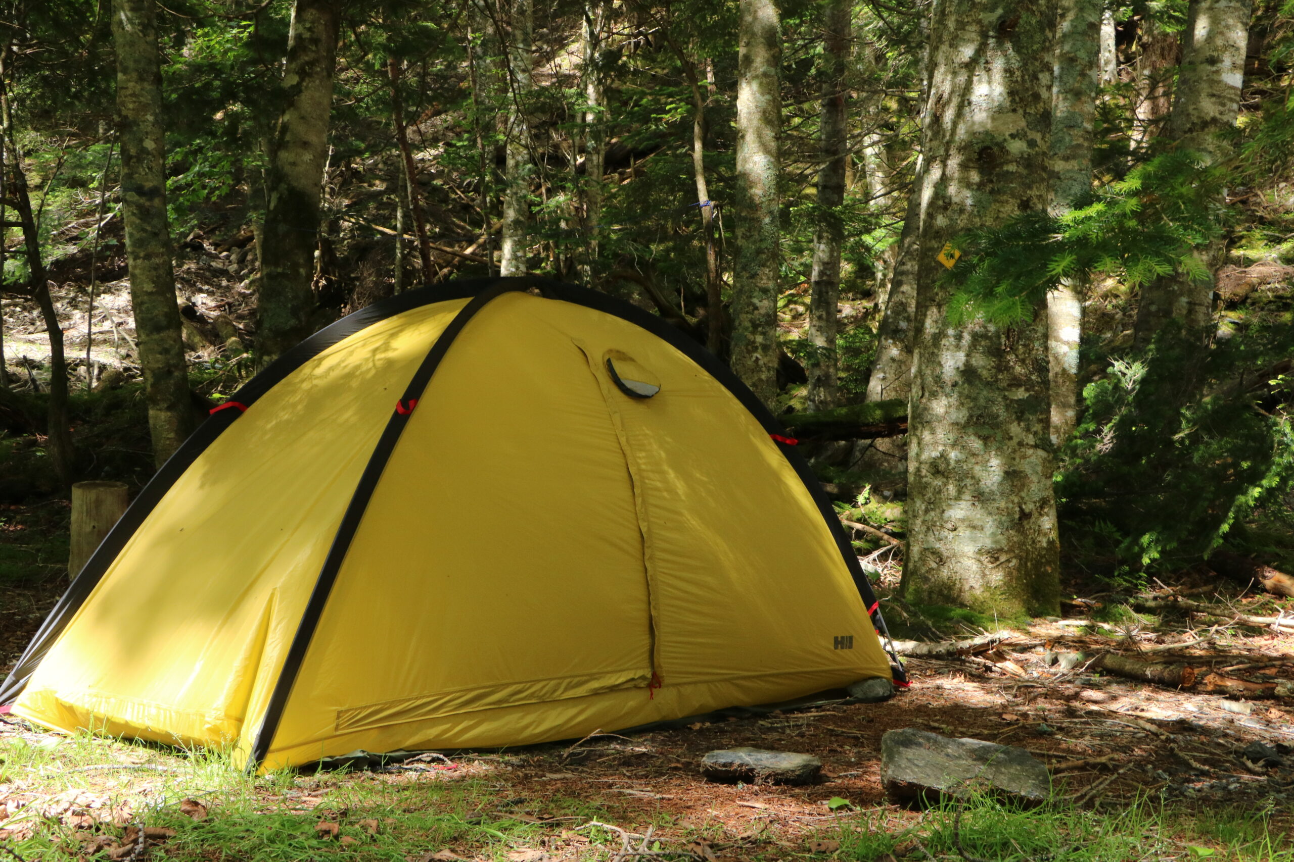 源流泊】ヘリテイジ クロスオーバードーム 2G レビュー