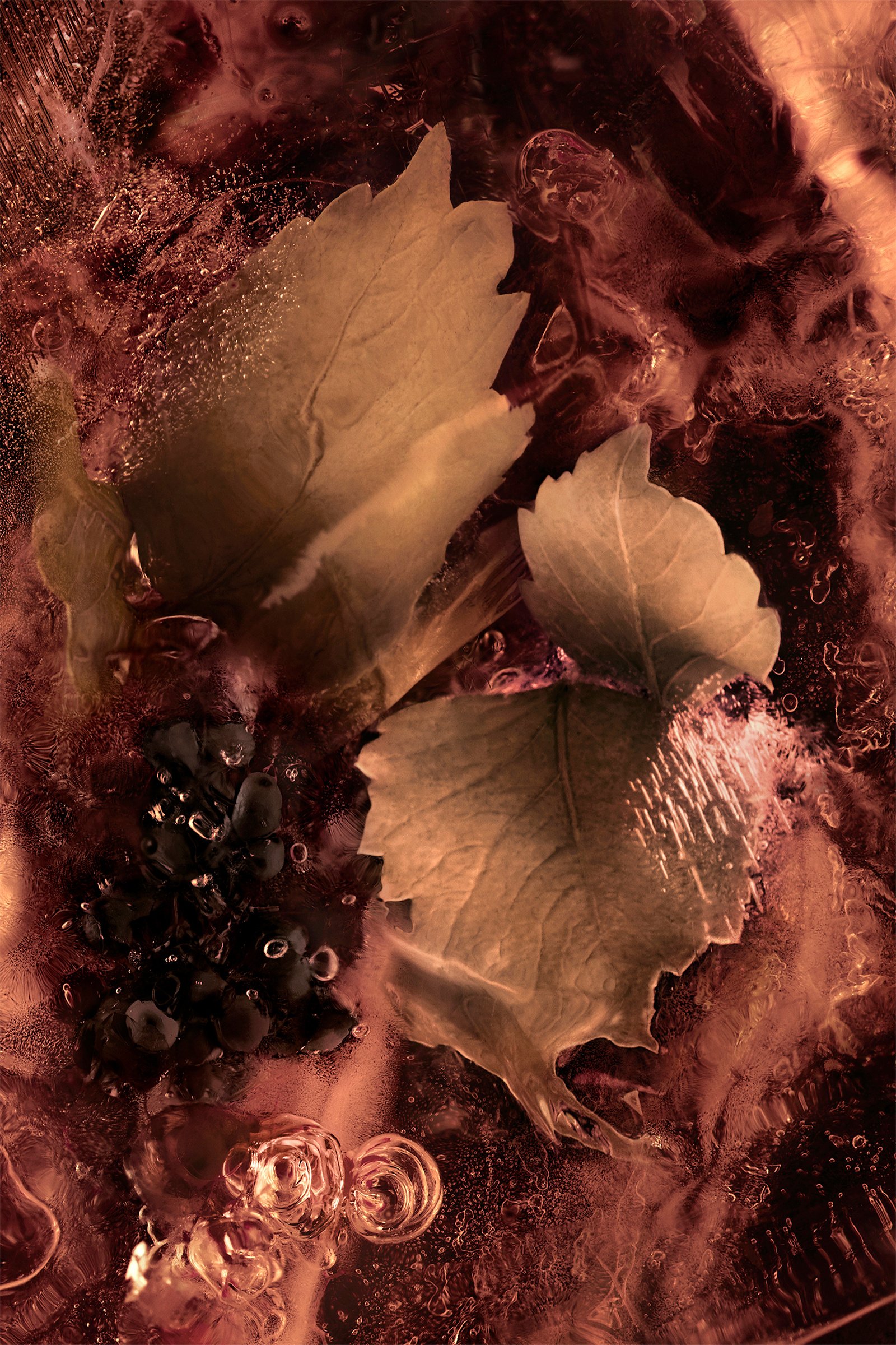 Black Les Roches Noires 6.7 Fl.Oz. - Perfumes for Men | Moncler US