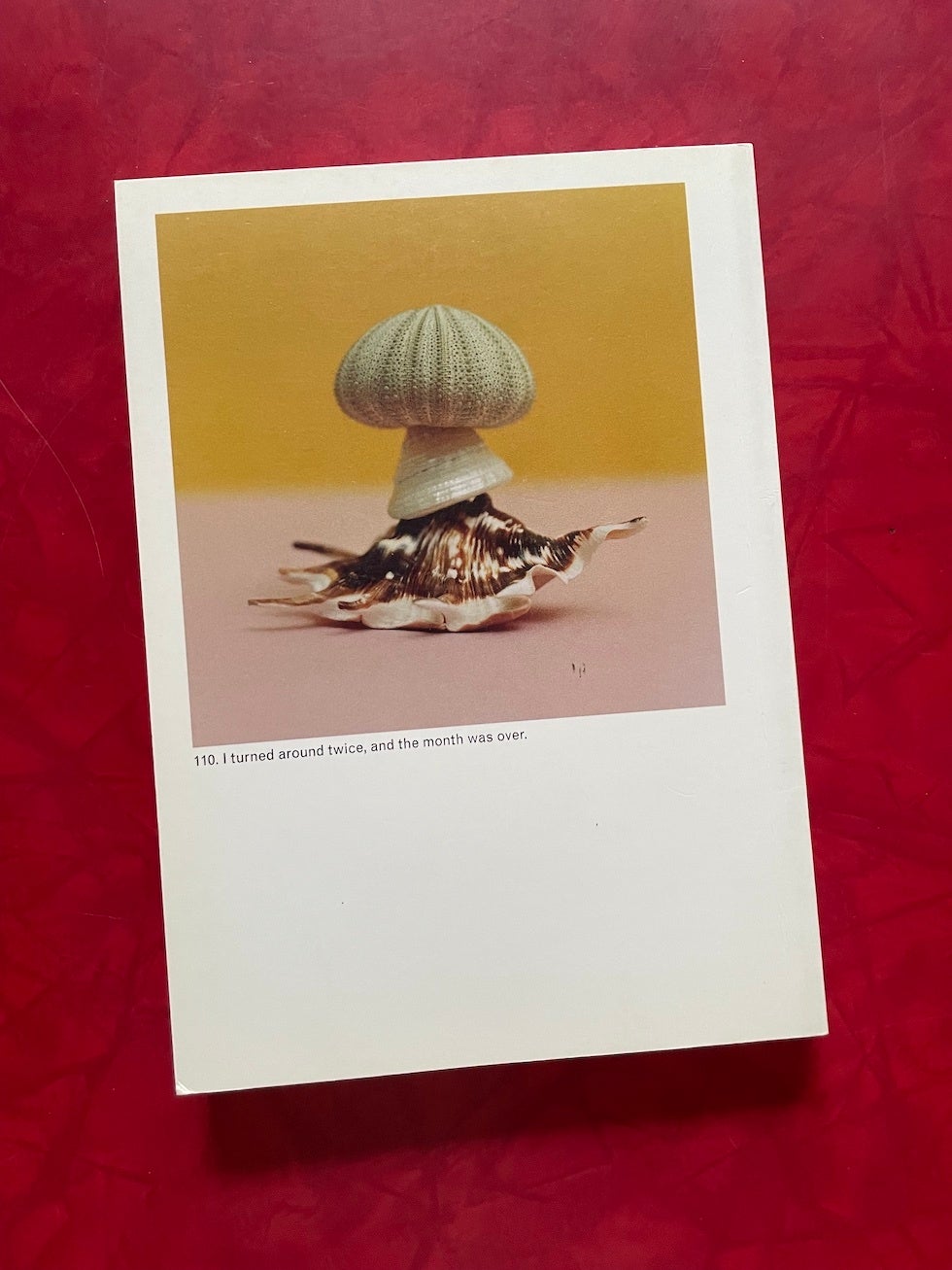 Monograph Bookwerks | The Mushroom Collector | Jason Fulford