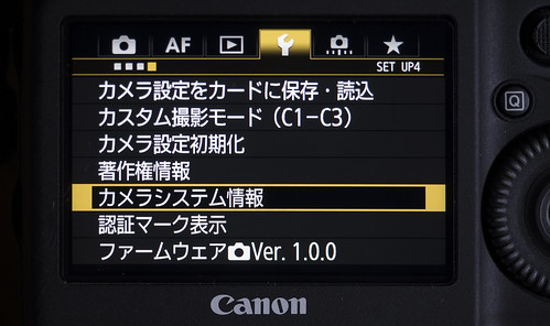 EOS-1D X Mark II 発売1ヶ月とシャッター回数 – mono-logue