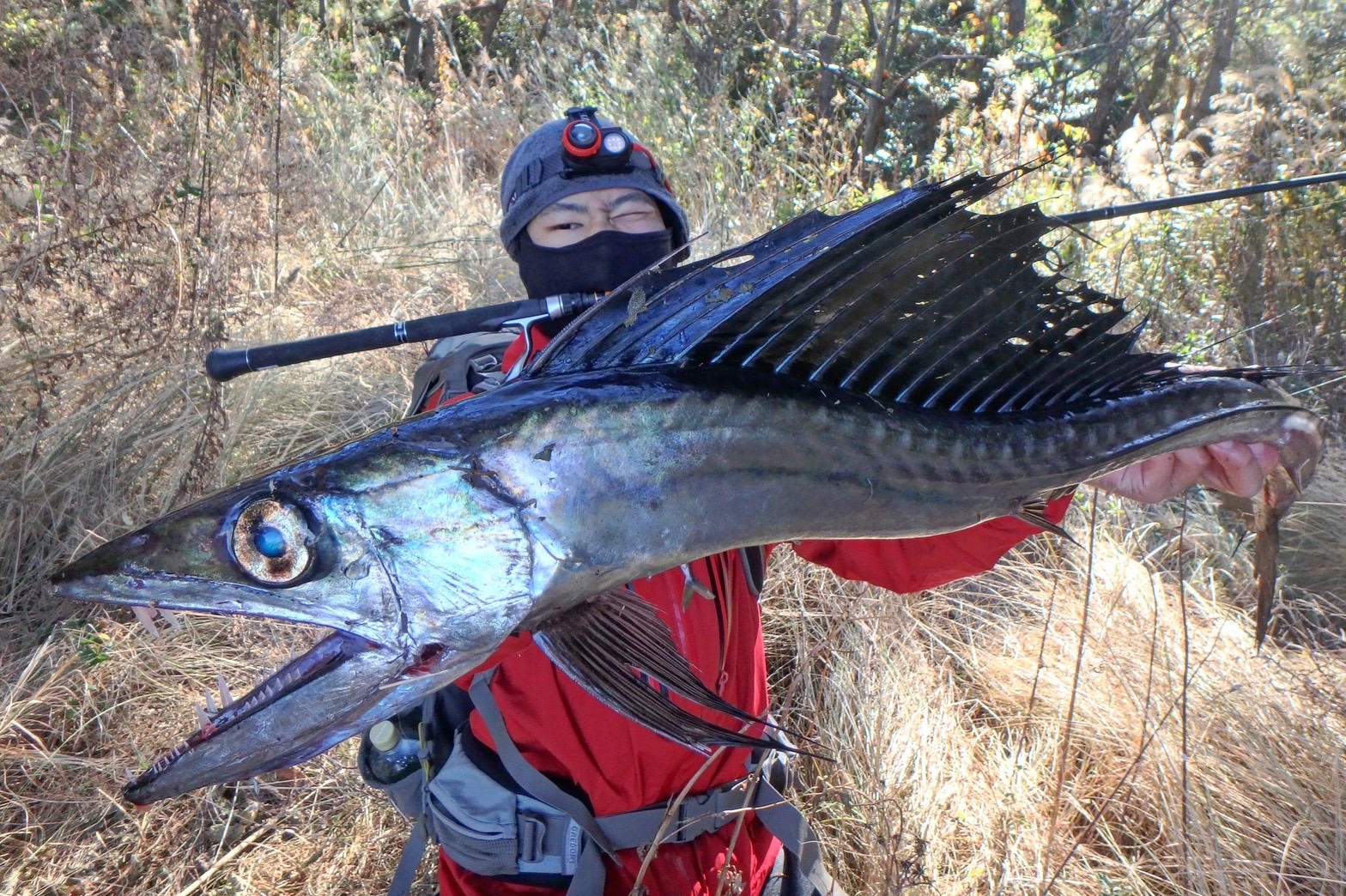 HUNTERS HT-6x4S（第一世代） - Monster Kiss モンスターキス