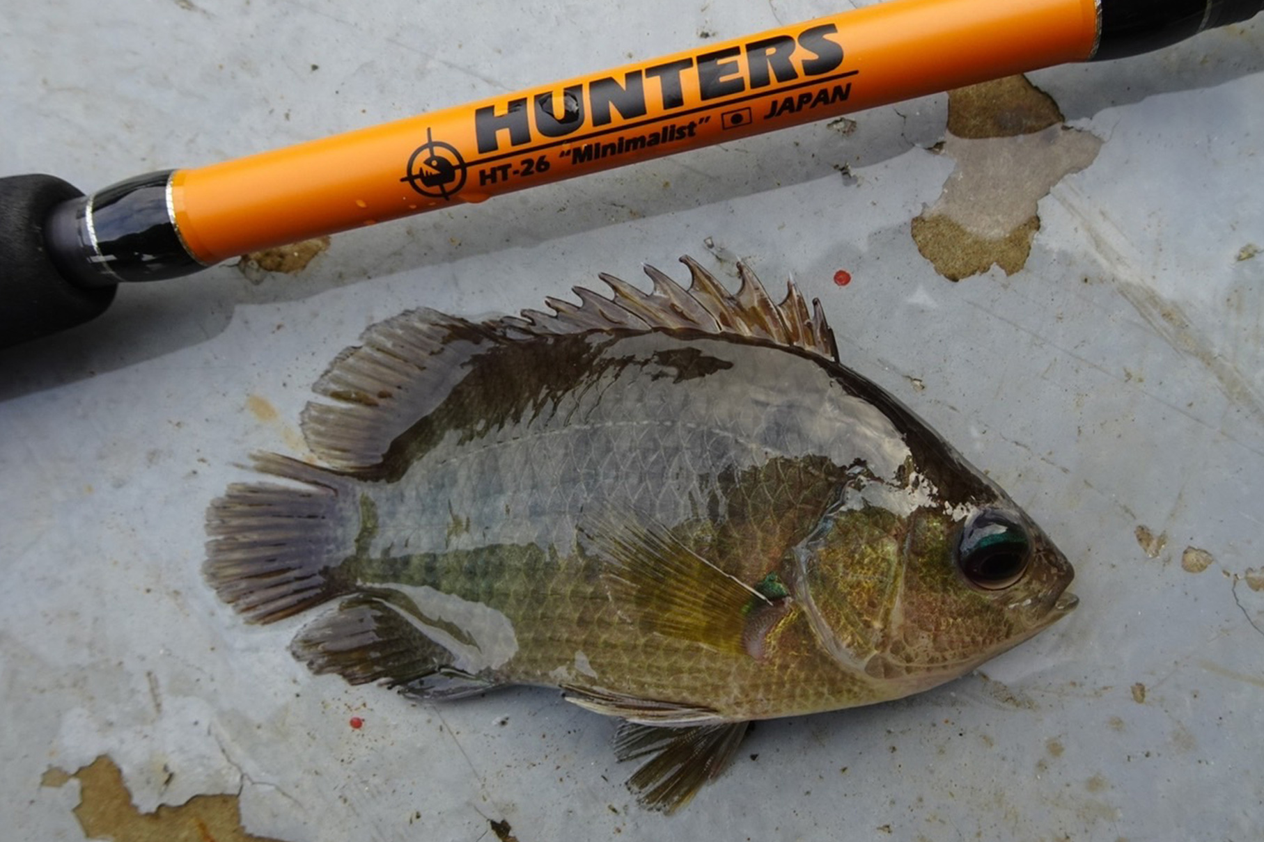 HUNTERS HT-26（第一世代） - Monster Kiss モンスターキス