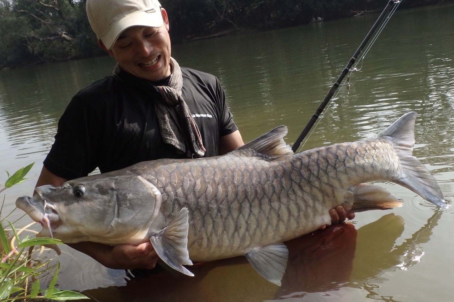 Dear Monster MX-8+ - Monster Kiss モンスターキス