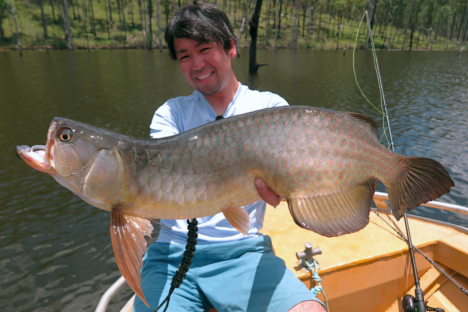 Dear Monster Valitudo MV-65 - Monster Kiss モンスターキス