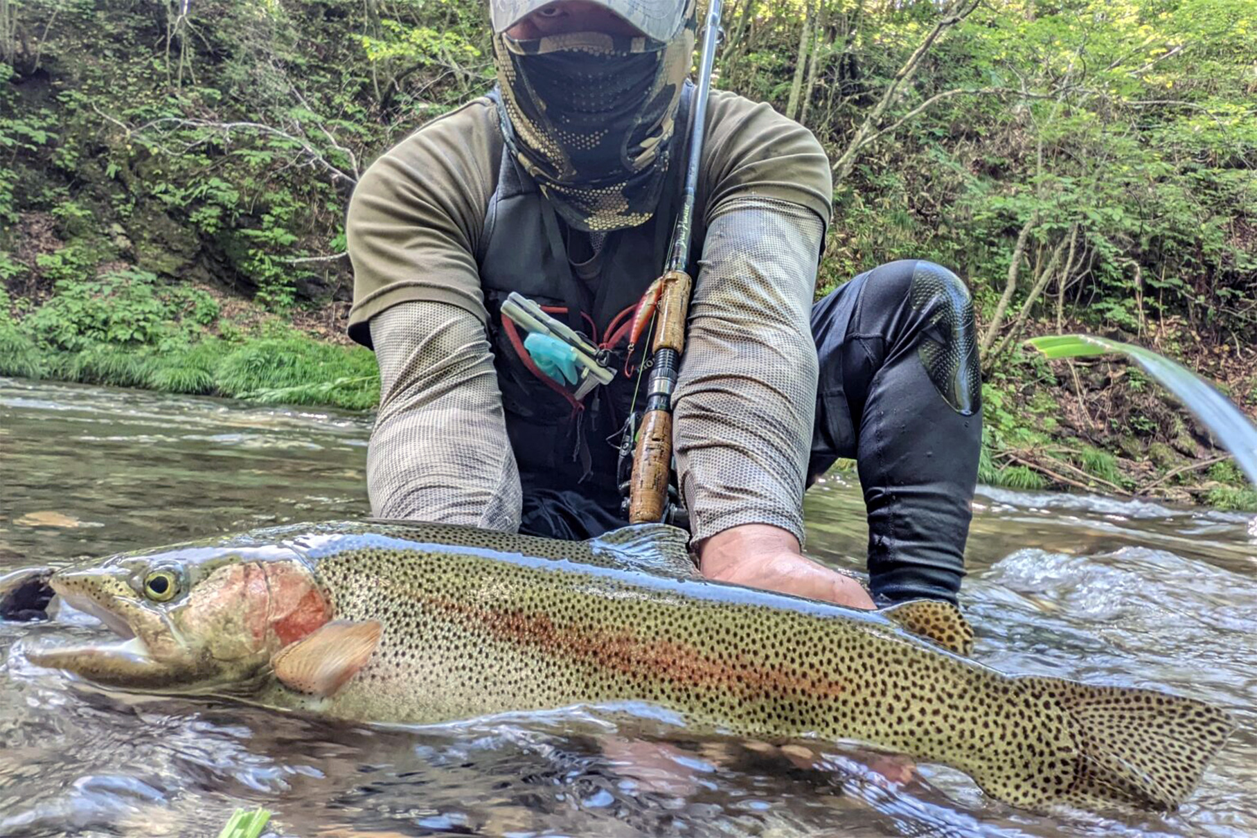 Dear Monster MX-7S - Monster Kiss モンスターキス