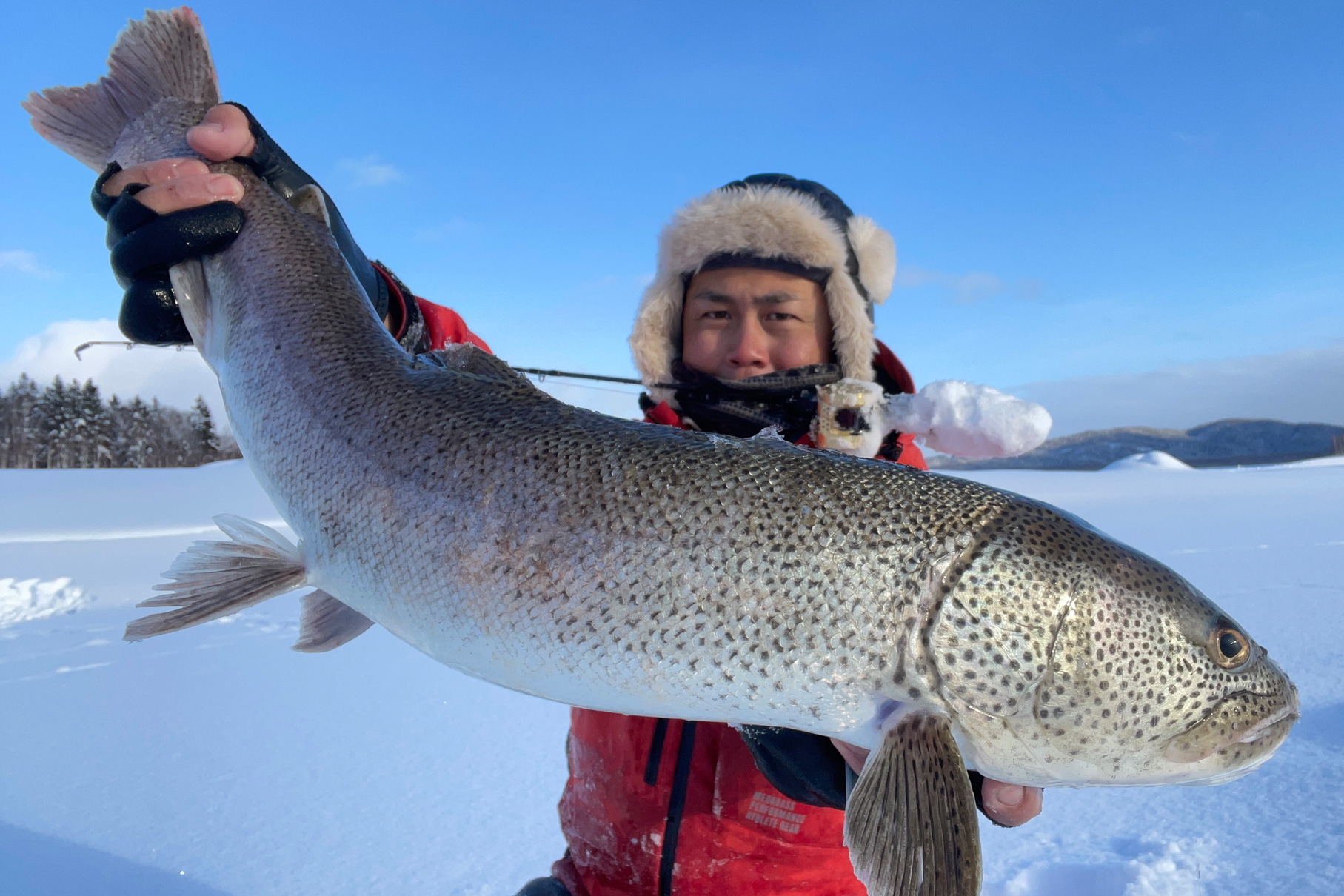 Dear Monster MX-39 - Monster Kiss モンスターキス