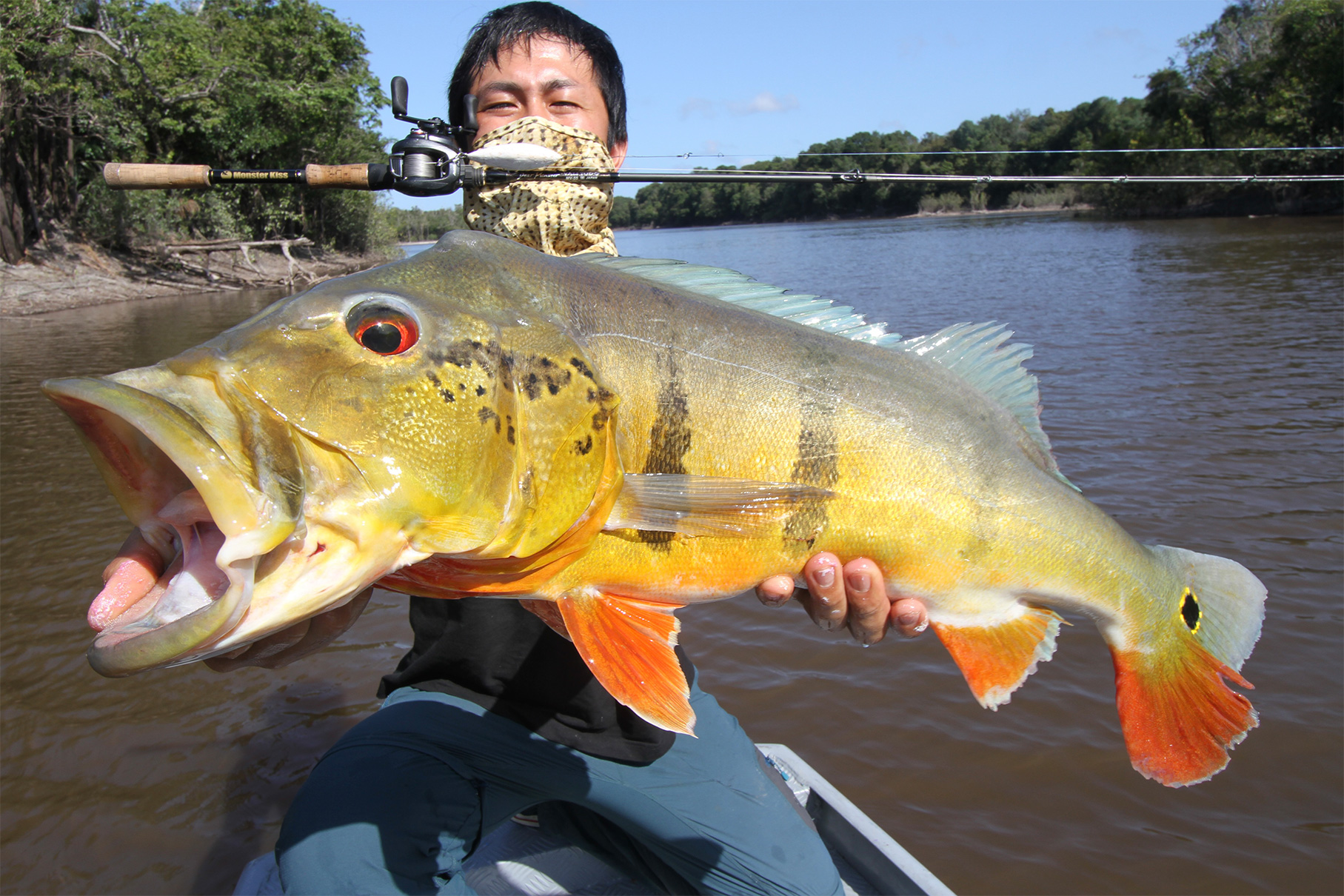 Dear Monster Valitudo MV-55 - Monster Kiss モンスターキス