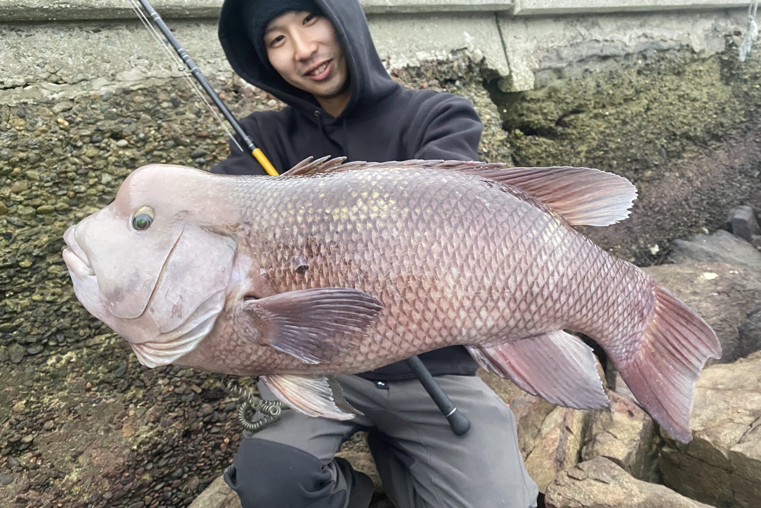 HUNTERS HT-6/7（第一世代） - Monster Kiss モンスターキス