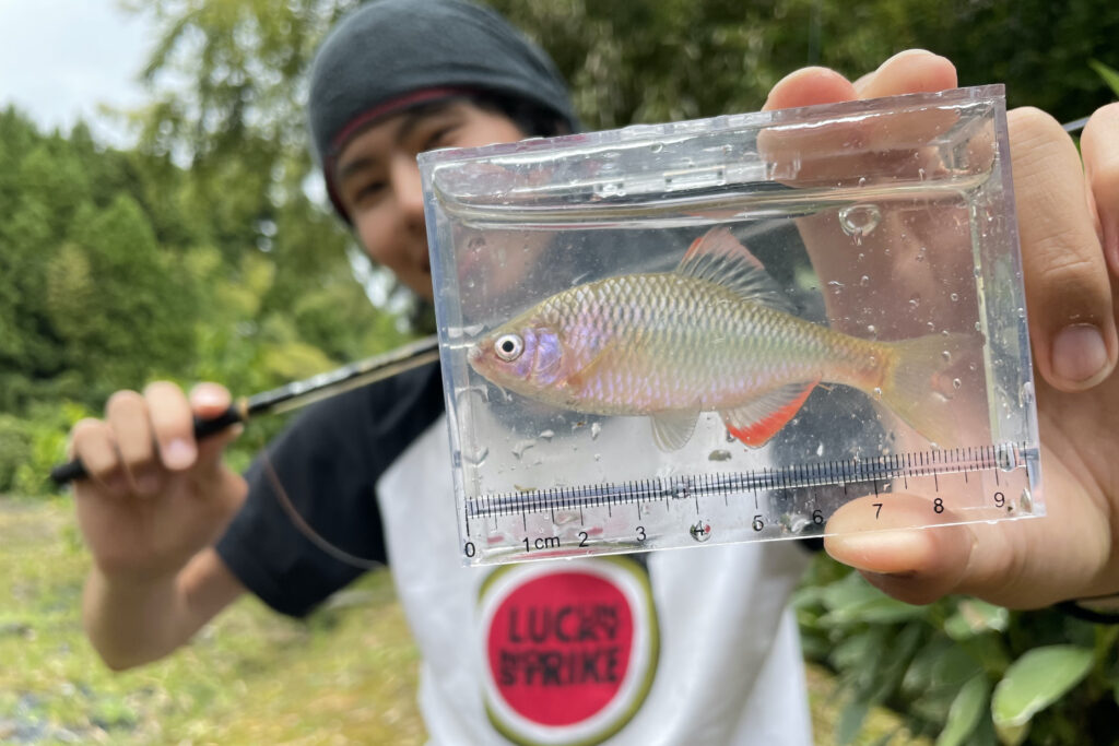 ハンターズに拘る僕が、「この竿だけは」とMX-1を1年ほど使ってみた話