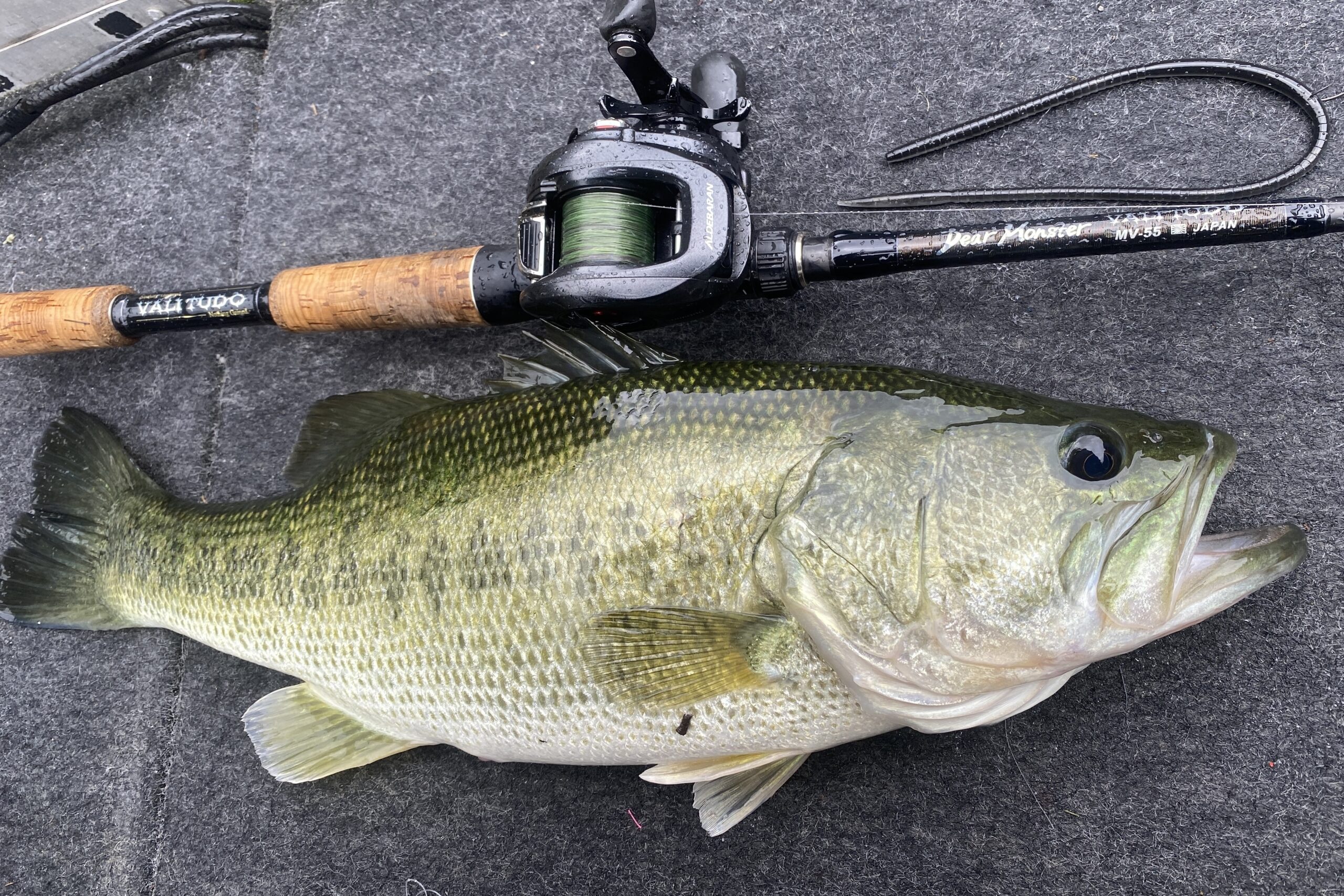 モンスターフィネス”「MV-55」を池原ダムに導入。50UPも楽々ゲット