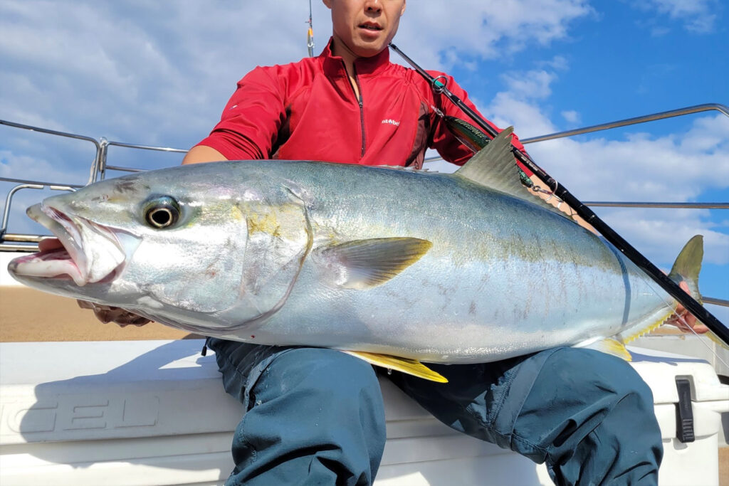 Dear Monster GIGAS MGX-8S “King Monkey” - Monster Kiss モンスターキス