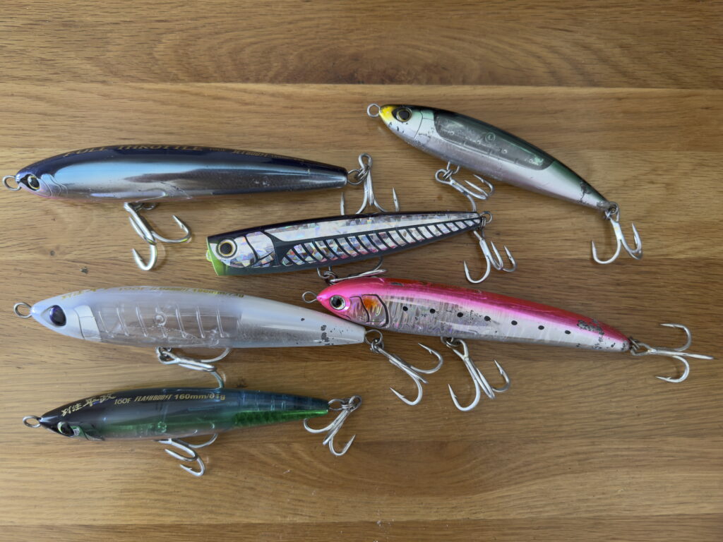 とりあえず9S”で挑んだ外房の春マサ、からの……2025秋本番へ