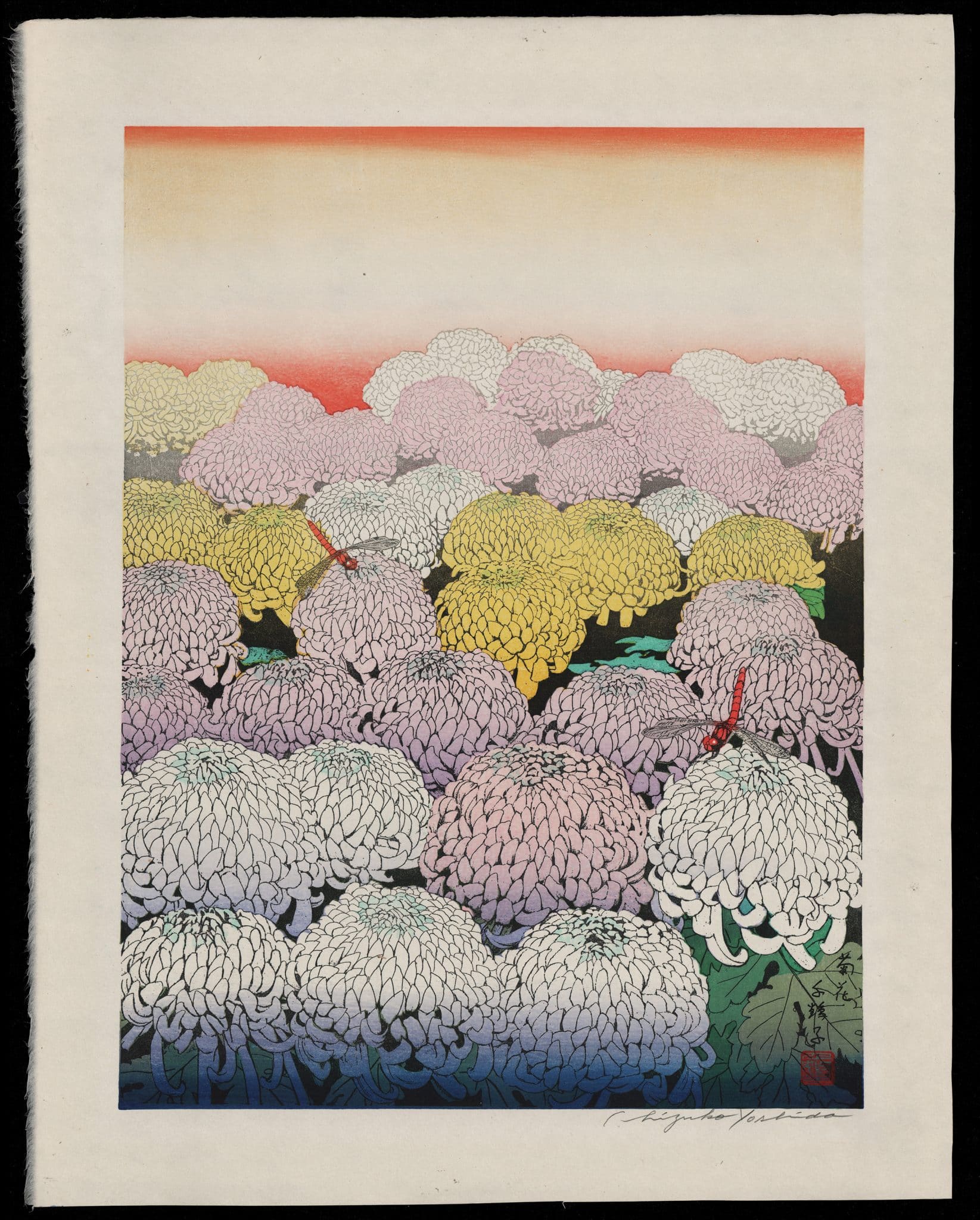 吉田千鶴子 - 菊