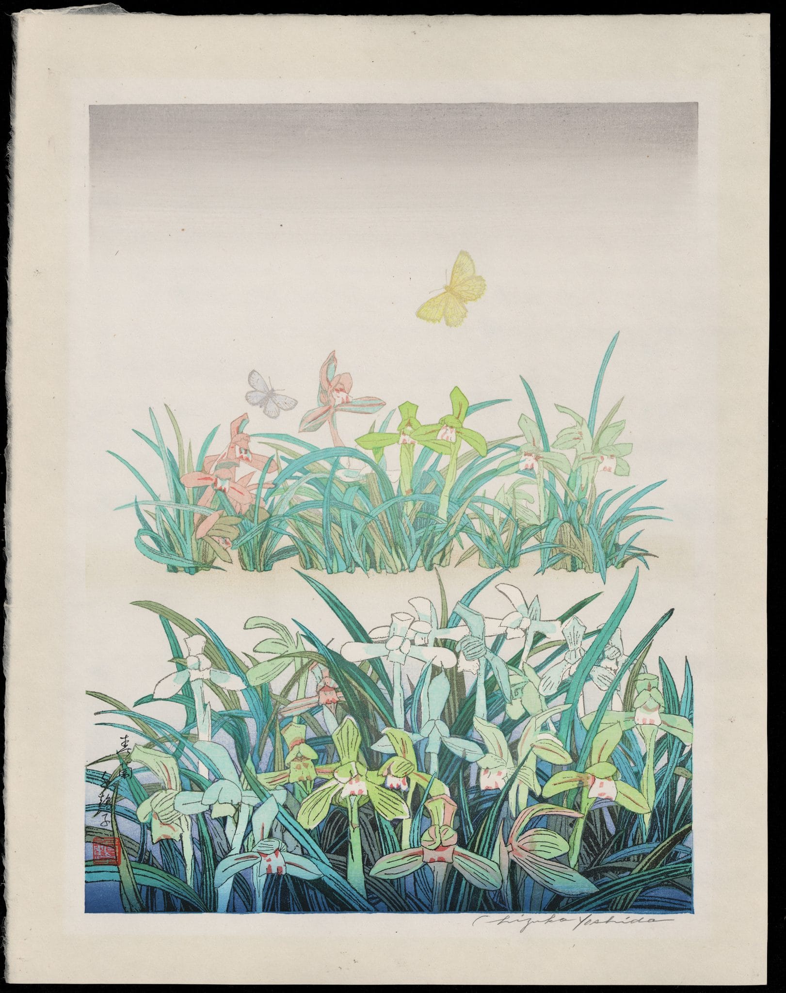 吉田千鶴子 - 春の蘭