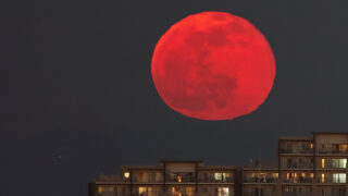 赤い月 - 月世界への招待