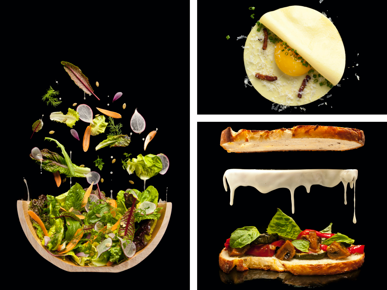 Modernist Cuisine at Home - Modernist Cuisine