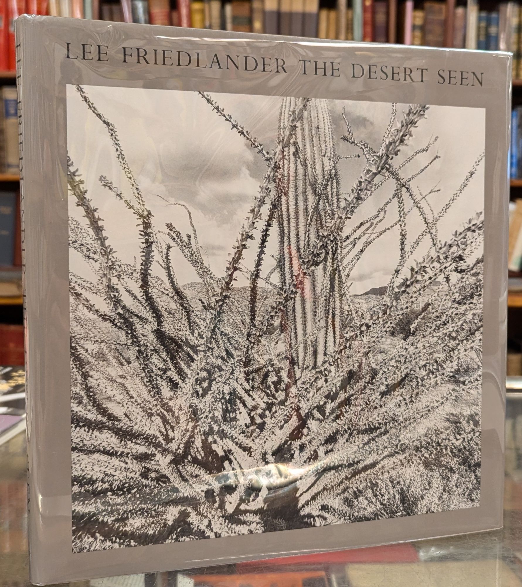 The Desert Seen | Lee Friedlander