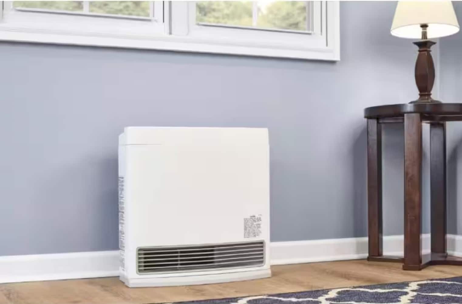 Rinnai 10000-BTU Floor-Mount Indoor Natural Gas Vent-Free
