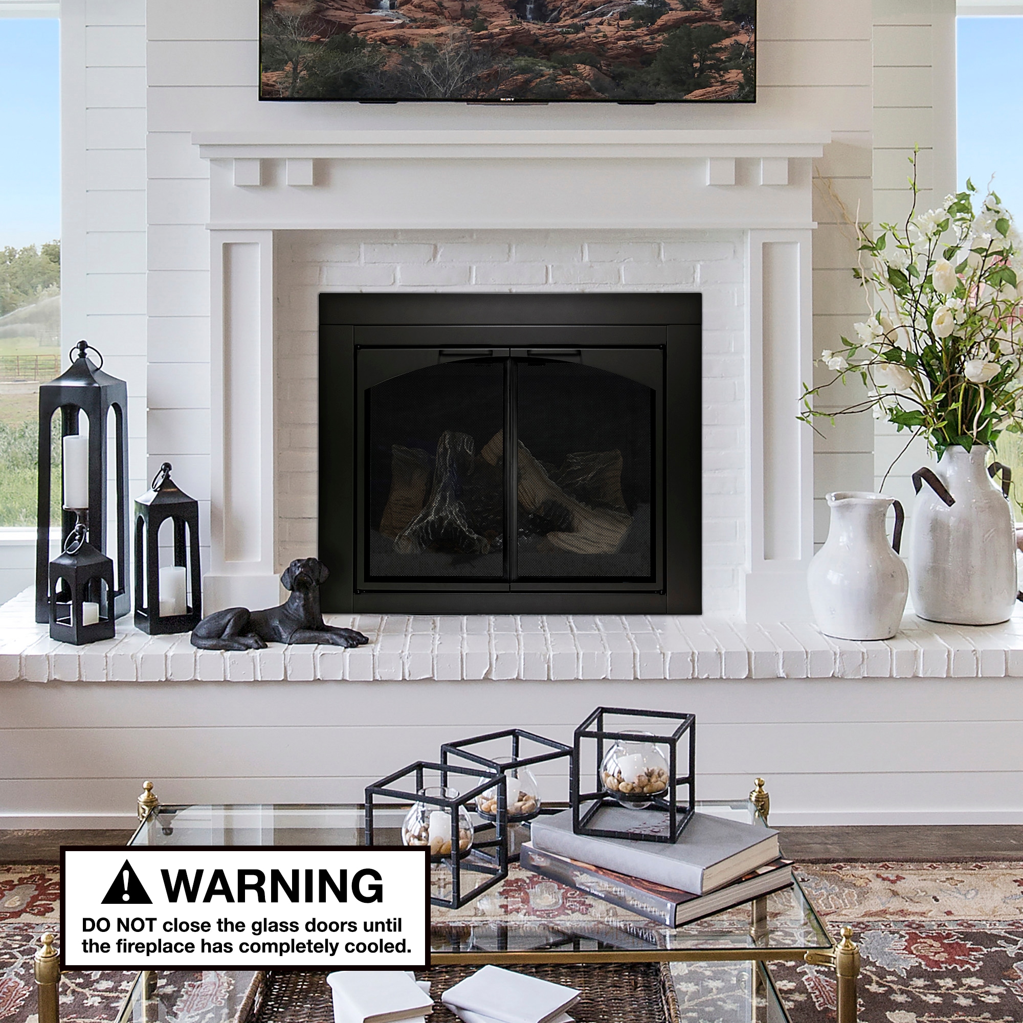 allen + roth Preston Black Large Cabinet-style Fireplace Doors