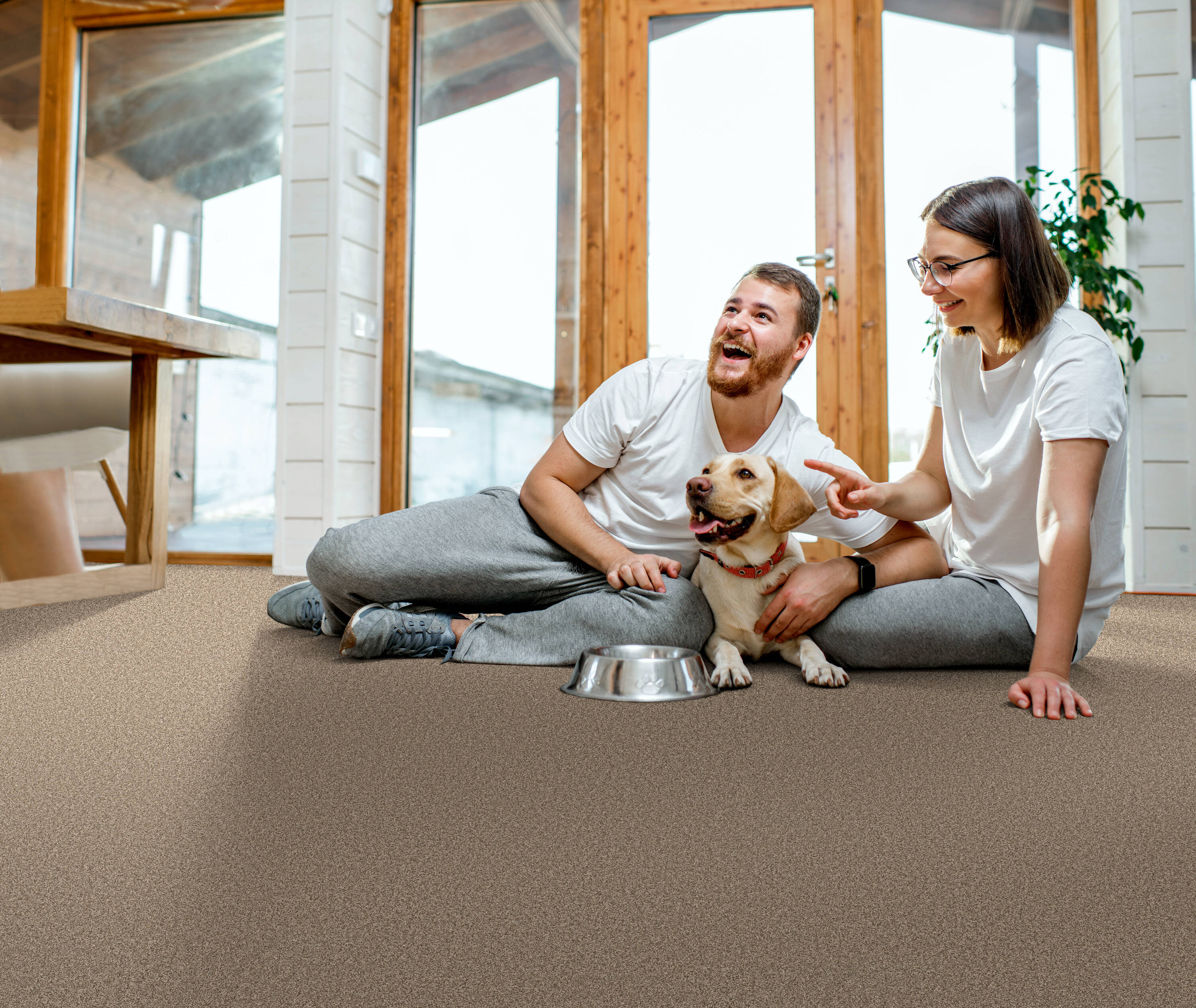 STAINMASTER PetProtect Ready 2 Play II Dachshund Brown 58.5-oz sq