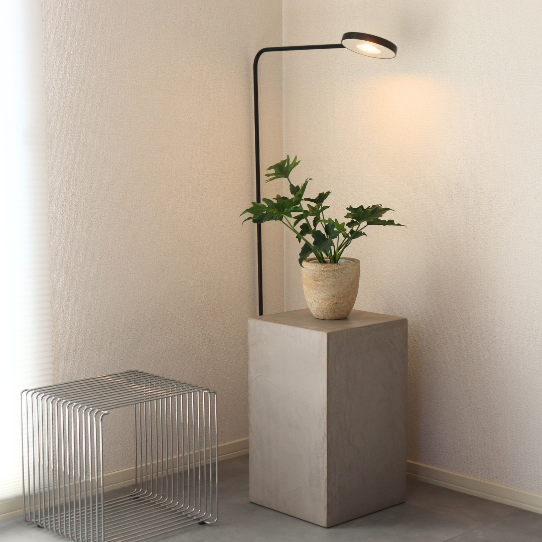 ディスプレイテーブル W300㎜×D300㎜ H400㎜～900㎜