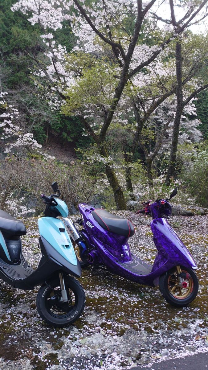 投稿詳細｜MOTOCLE