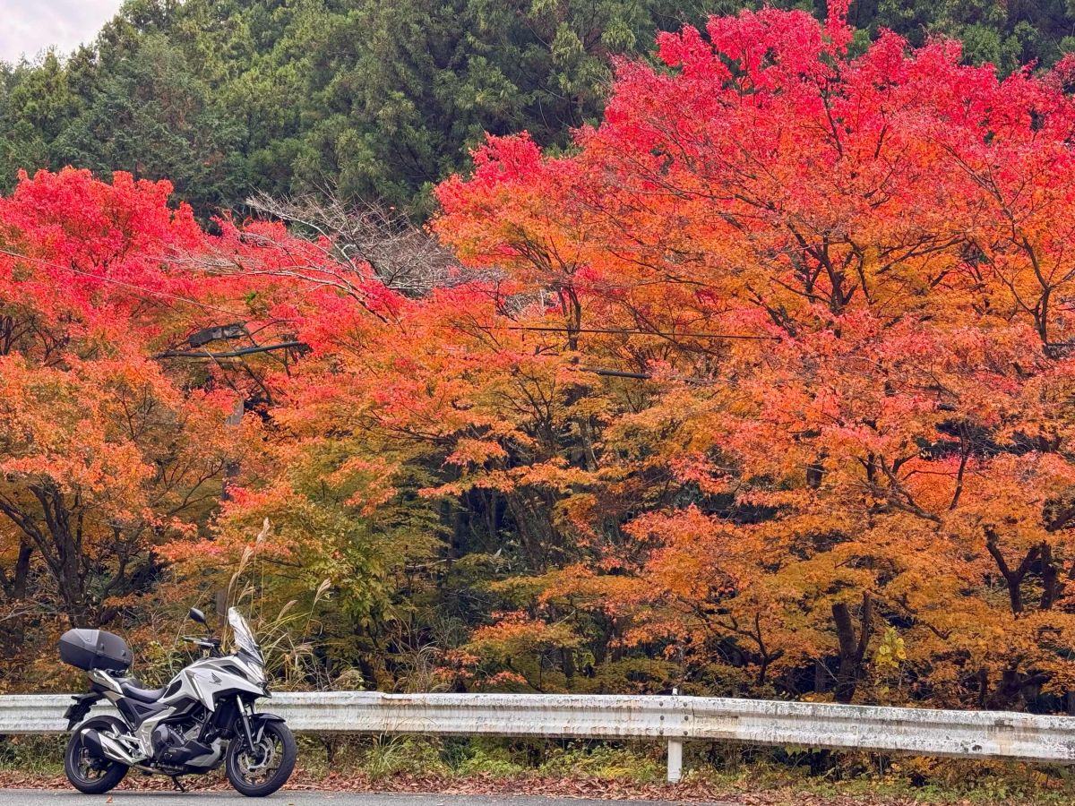 投稿詳細｜MOTOCLE