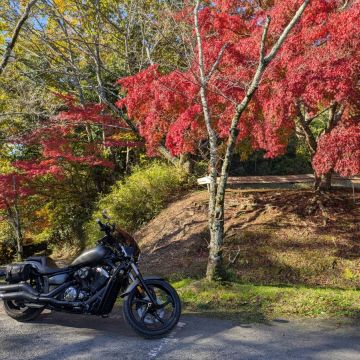 投稿詳細｜MOTOCLE