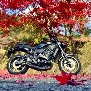 投稿詳細｜MOTOCLE