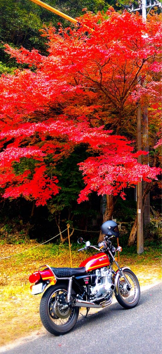 投稿詳細｜MOTOCLE