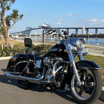 FLD スイッチバック(ハーレーダビッドソン) ホワイト系・白色の