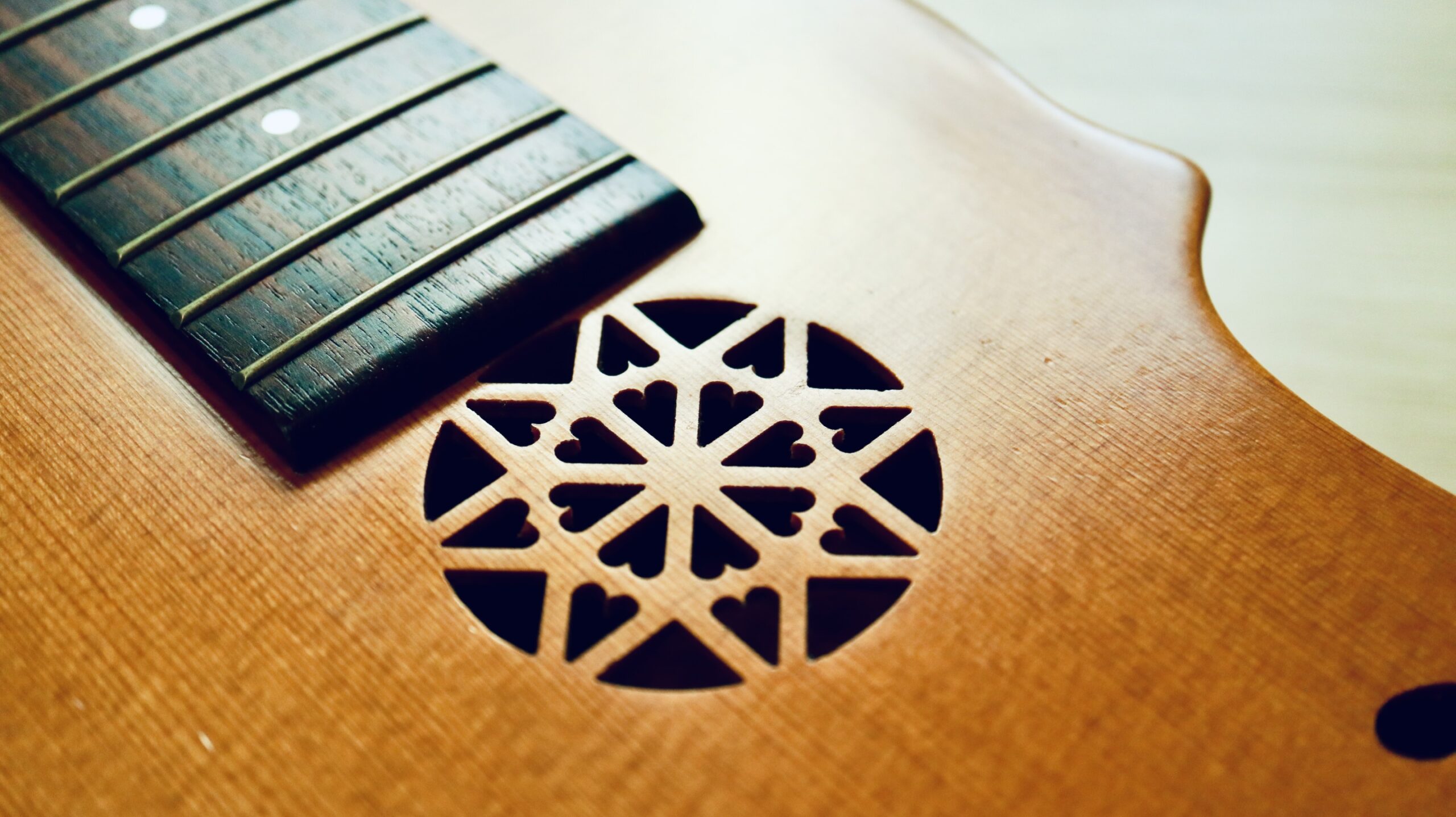 クロサワ楽器ギグパッカー(VRF-Ⅱ)お手入れ。 - MouseChord.com