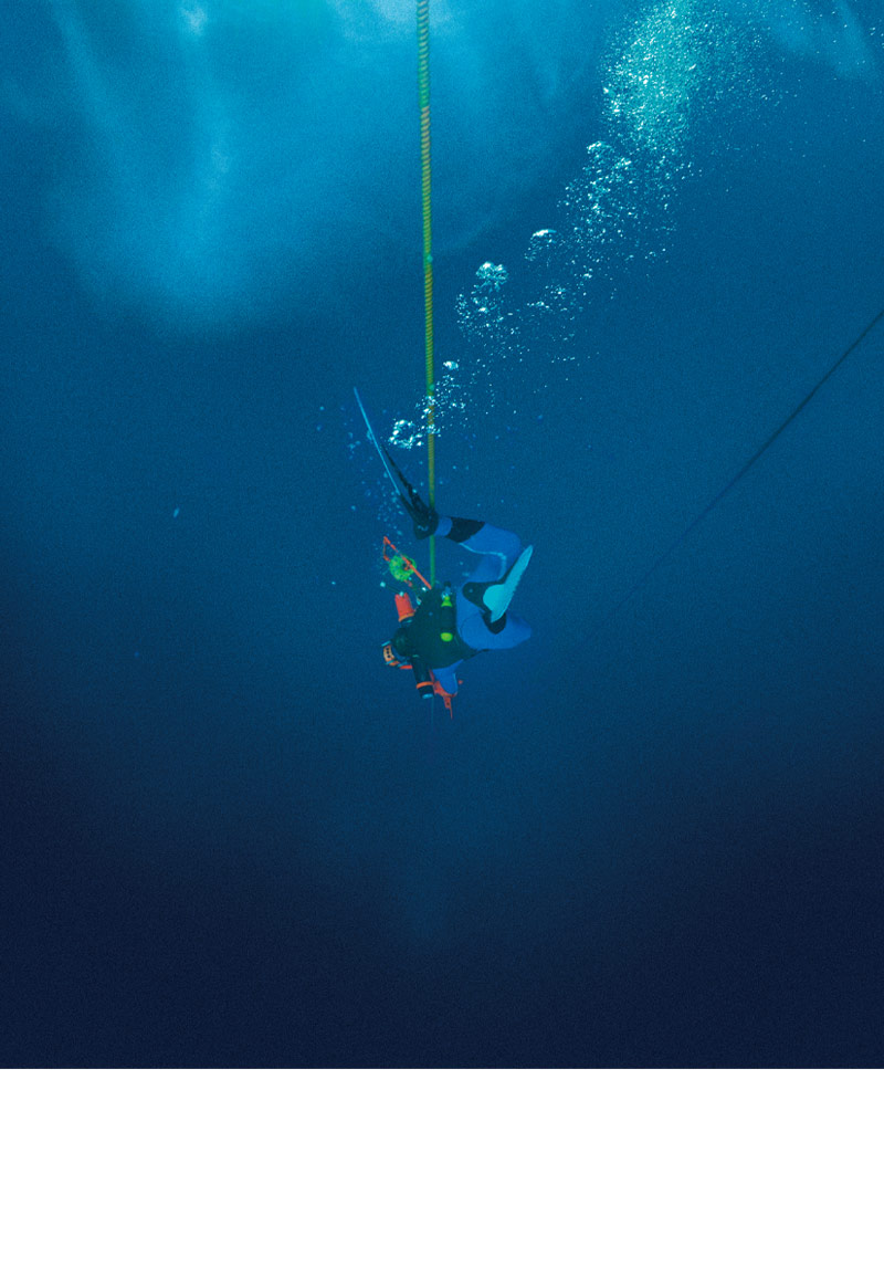 映画『グラン・ブルー 完全版 4K』オフィシャルサイト 2025.8.29公開