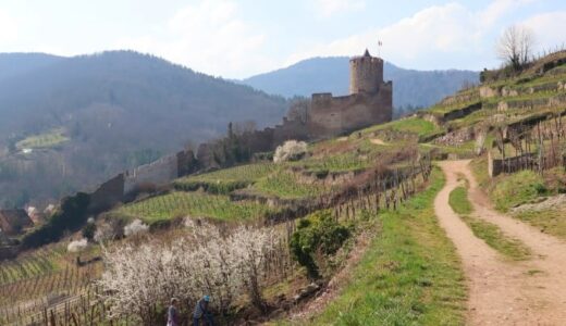 フランス・アルザス地方】お城のふもとに佇む可愛い町カイゼルスベルク