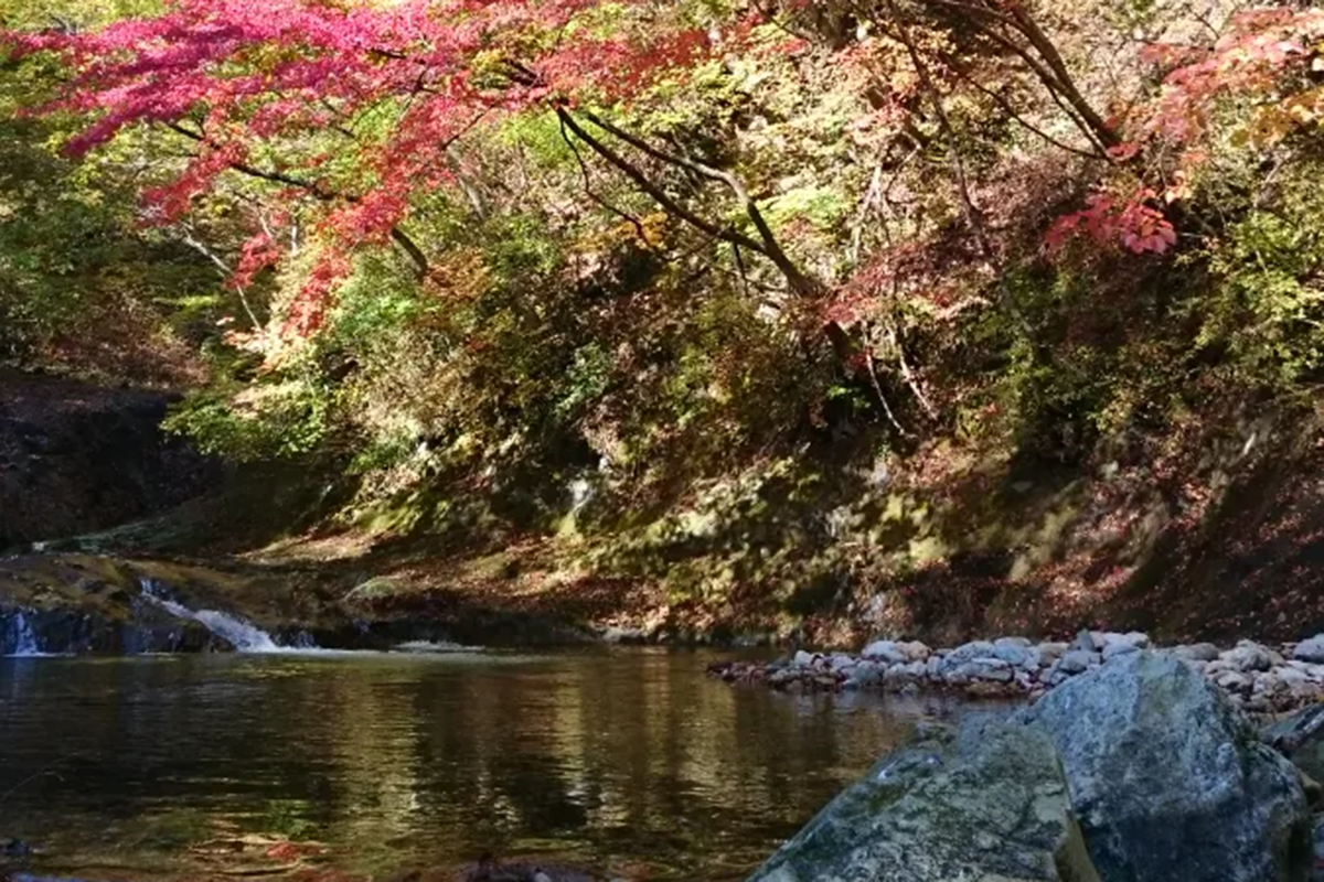 作並渓流つり場 | moreTOHOKU