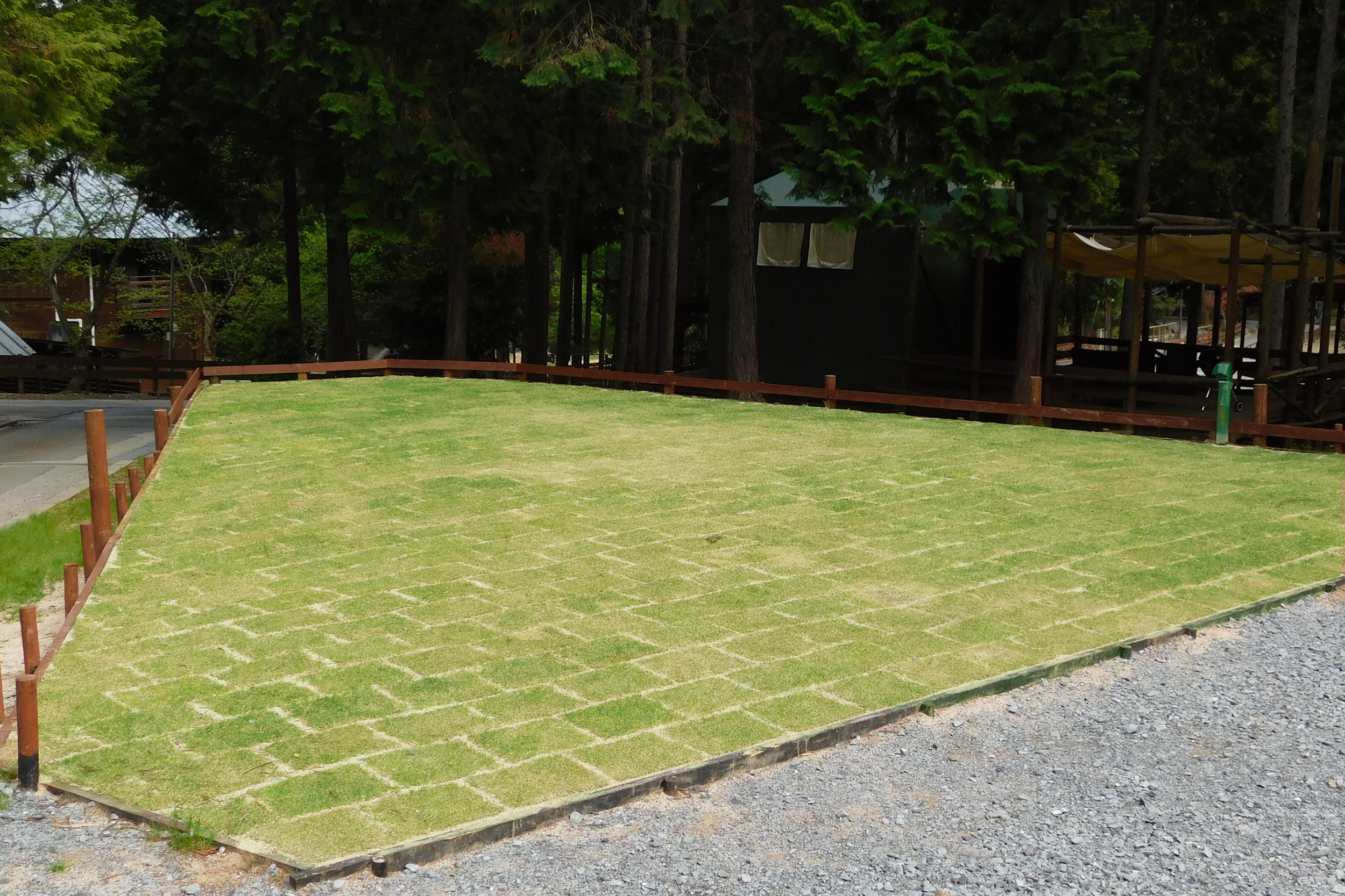 テントサイト - キャンプリゾート森のひととき