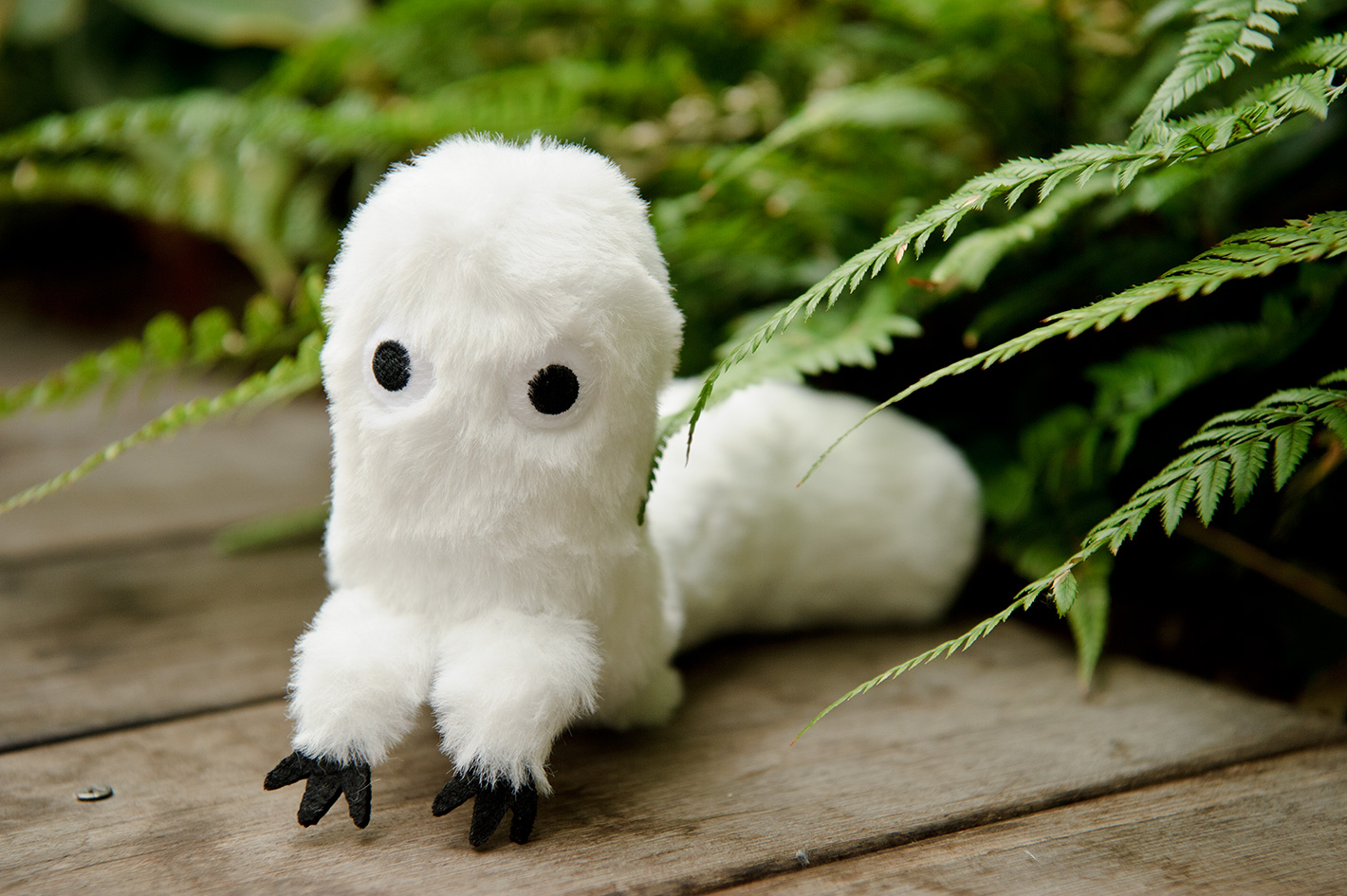 とんがり帽子のアトリエ』待望の最新⑫巻は本日6/22発売。限定版は